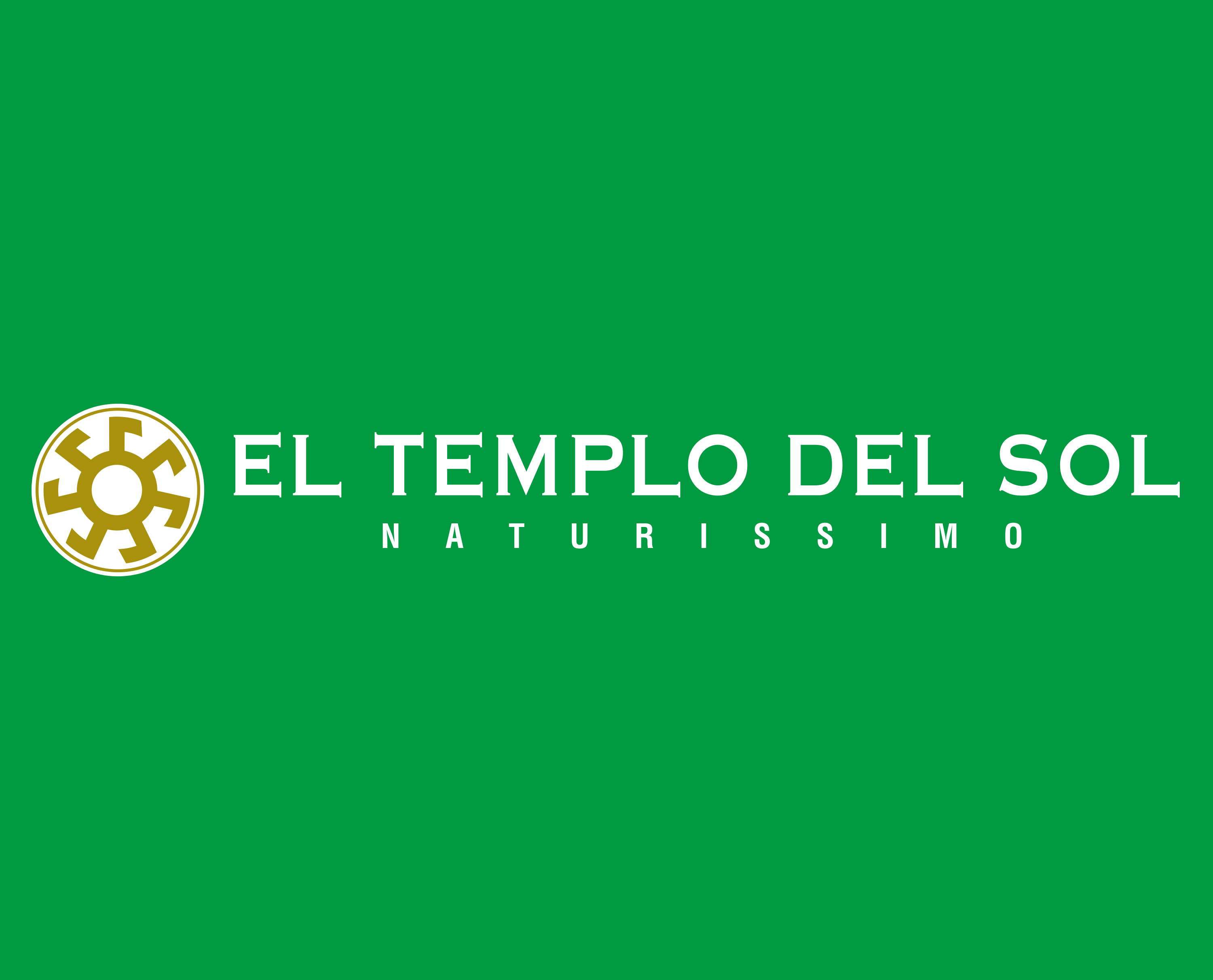 Templo del Sol